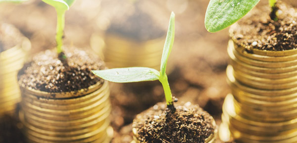 Vermögensberatung Wilfried Schöpges